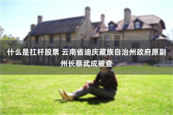 什么是扛杆股票 云南省迪庆藏族自治州政府原副州长蔡武成被查