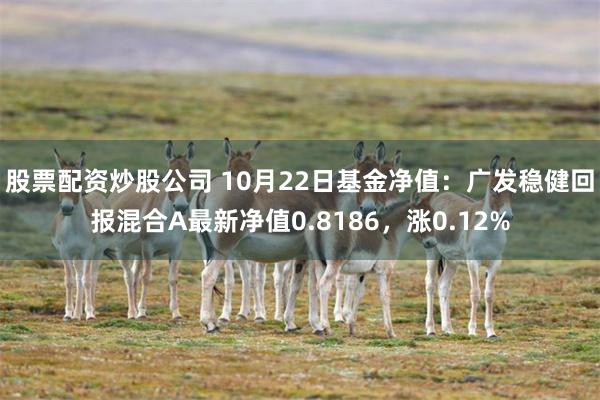 股票配资炒股公司 10月22日基金净值：广发稳健回报混合A最新净值0.8186，涨0.12%