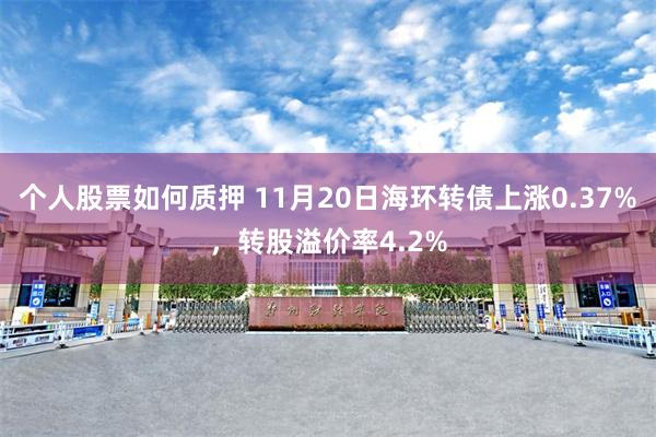 个人股票如何质押 11月20日海环转债上涨0.37%，转股溢价率4.2%