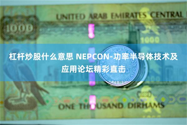 杠杆炒股什么意思 NEPCON-功率半导体技术及应用论坛精彩直击