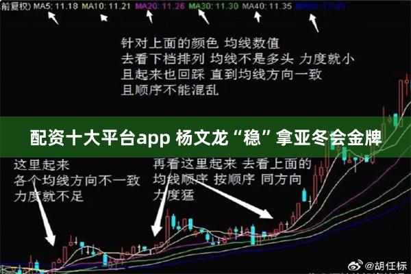 配资十大平台app 杨文龙“稳”拿亚冬会金牌